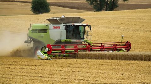 La météo de l'année 2022 a été extrême, mais la récolte du blé tendre reste satisfaisante. © A. Tandeau La météo de l'année 2022 a été extrême, mais la récolte du blé tendre reste satisfaisante. © A. Tandeau